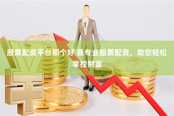 股票配资平台那个好 最专业股票配资，助您轻松掌控财富