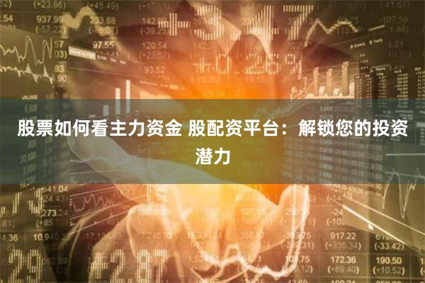 股票如何看主力资金 股配资平台：解锁您的投资潜力