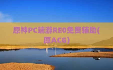 原神PC端游RE0免费辅助(原ACG)