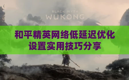 和平精英网络低延迟优化设置实用技巧分享
