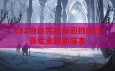 CS2自动完成每周挑战任务专业辅助脚本