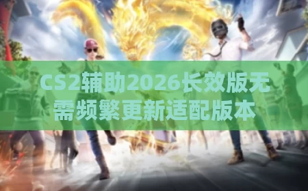 CS2辅助2026长效版无需频繁更新适配版本