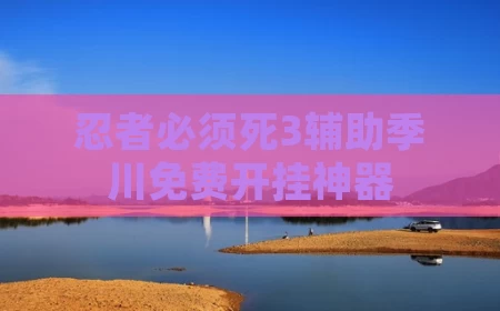 忍者必须死3辅助季川免费开挂神器