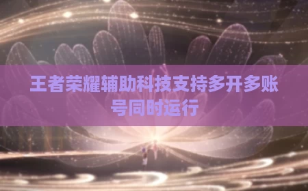王者荣耀辅助科技支持多开多账号同时运行