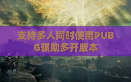 支持多人同时使用PUBG辅助多开版本
