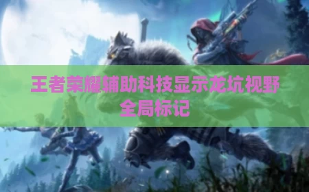王者荣耀辅助科技显示龙坑视野全局标记