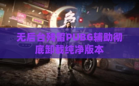 无后台残留PUBG辅助彻底卸载纯净版本