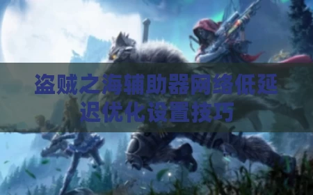 盗贼之海辅助器网络低延迟优化设置技巧