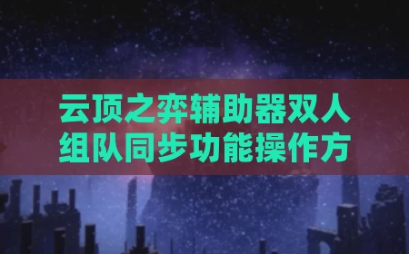 云顶之弈辅助器双人组队同步功能操作方法