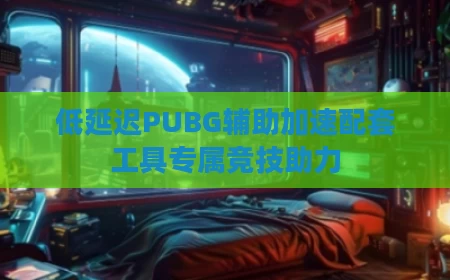 低延迟PUBG辅助加速配套工具专属竞技助力
