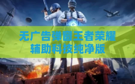 无广告弹窗王者荣耀辅助科技纯净版