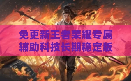 免更新王者荣耀专属辅助科技长期稳定版