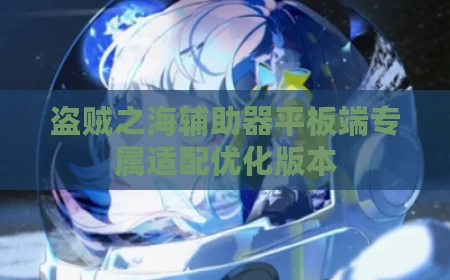 盗贼之海辅助器平板端专属适配优化版本