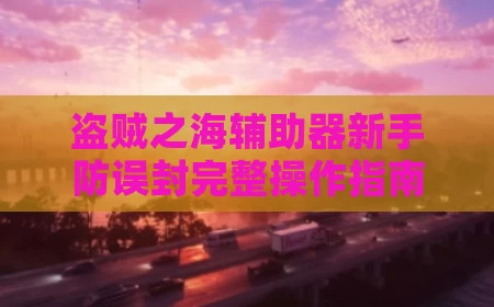 盗贼之海辅助器新手防误封完整操作指南