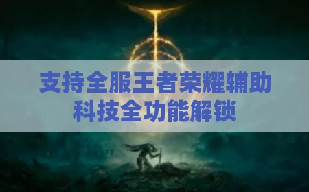 支持全服王者荣耀辅助科技全功能解锁