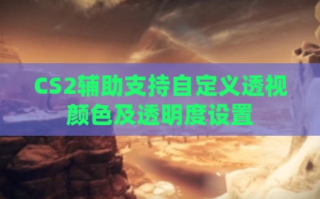 CS2辅助支持自定义透视颜色及透明度设置