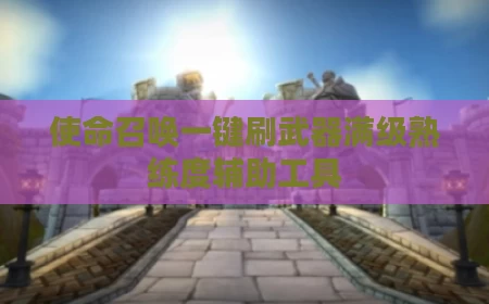 使命召唤一键刷武器满级熟练度辅助工具