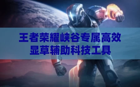 王者荣耀峡谷专属高效显草辅助科技工具
