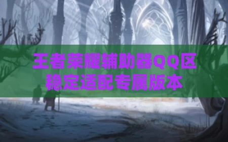 王者荣耀辅助器QQ区稳定适配专属版本